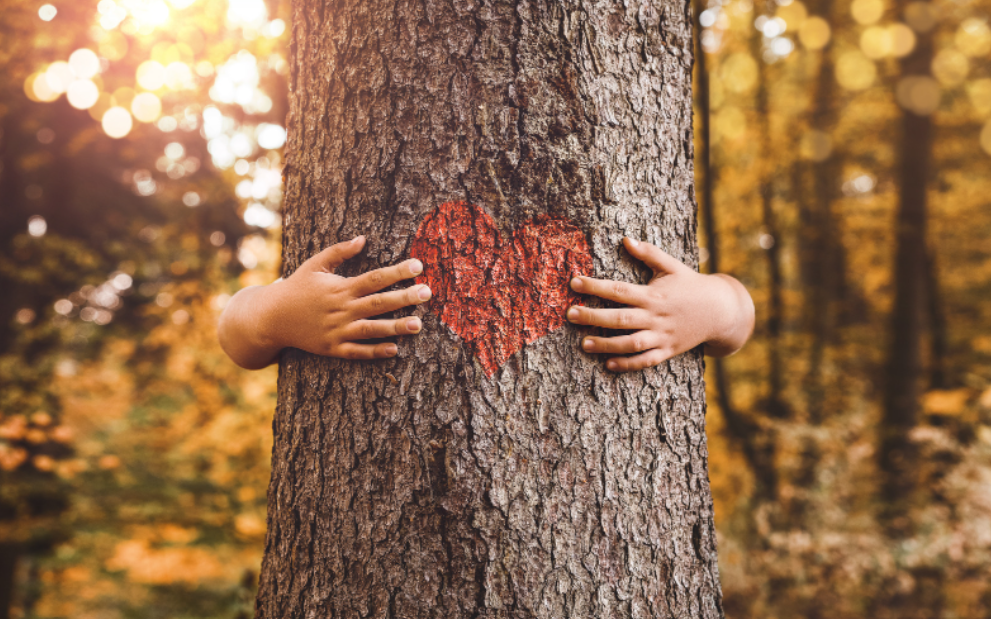 soins pour famille soin sylvique