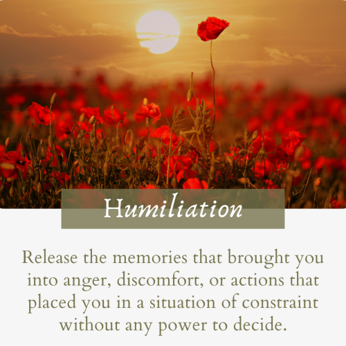 Humiliation 