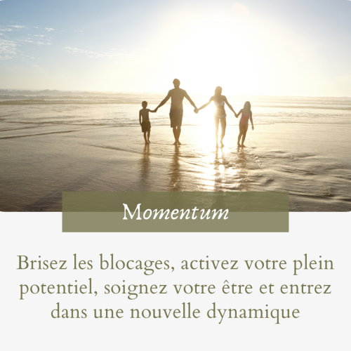 Program Momentum