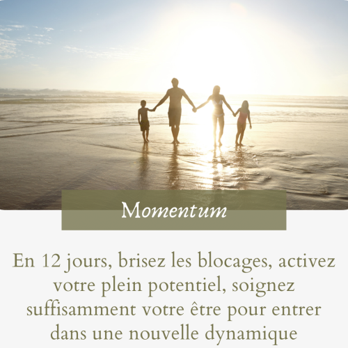 Program Momentum