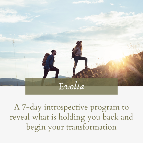 Program Evolia