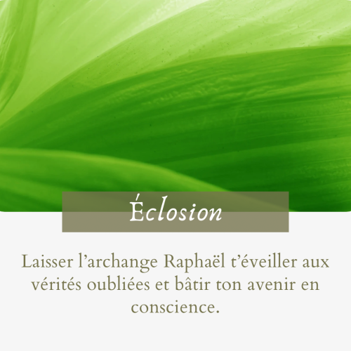 Eclosion 