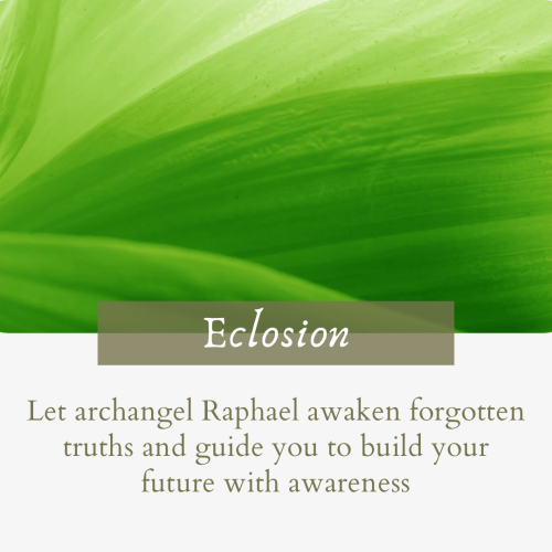 Eclosion 