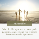 Program Momentum