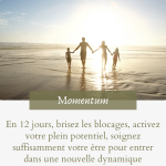 Program Momentum